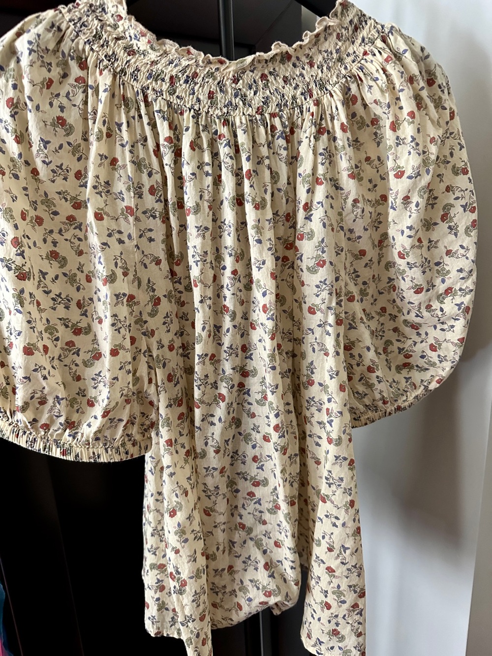 Roller Rabbit EUC Cream Blouse with Red and Blue Floral Print - Picture 5 of 6